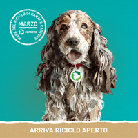 RicicloAperto2019